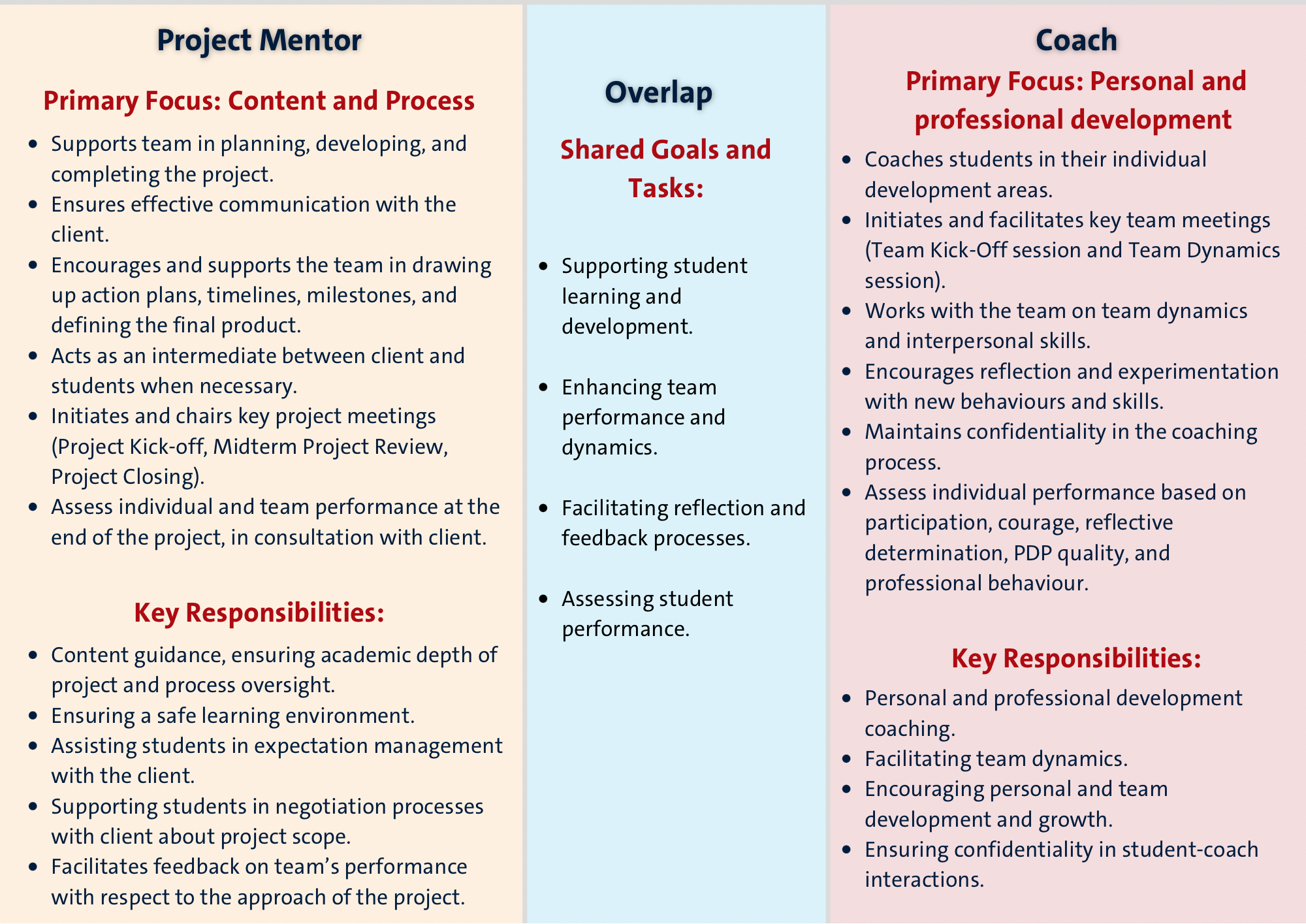 role of mentor and coach