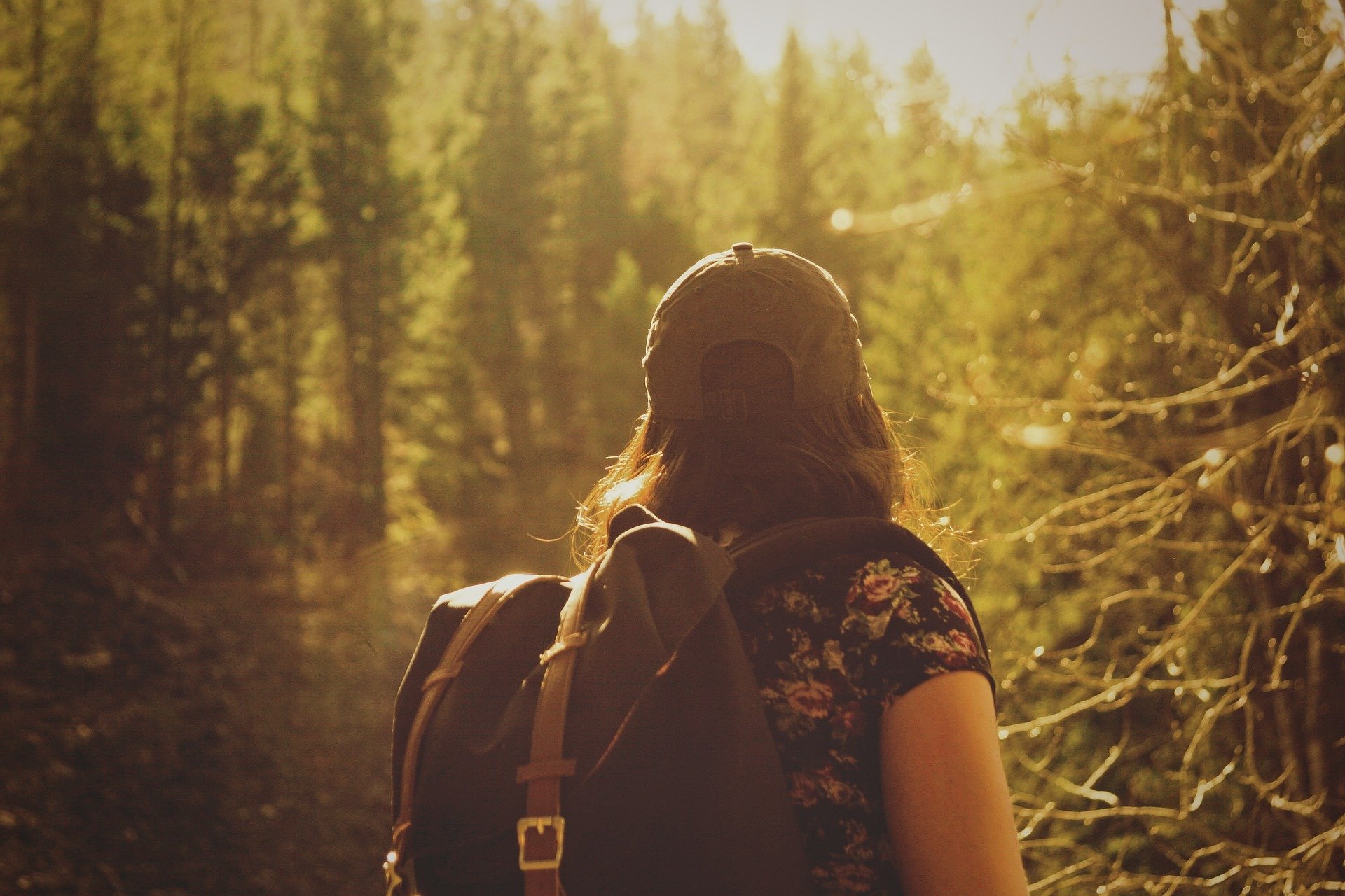 Hiking in nature