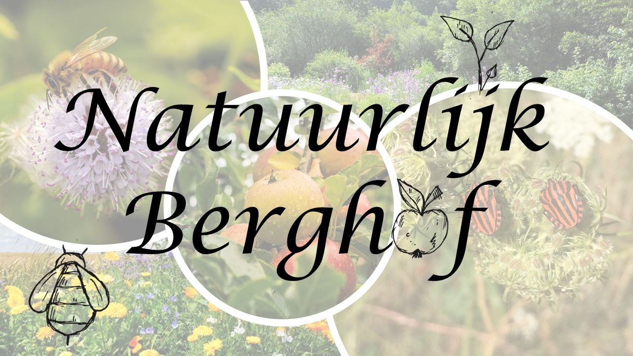 Natuurlijk Berghof