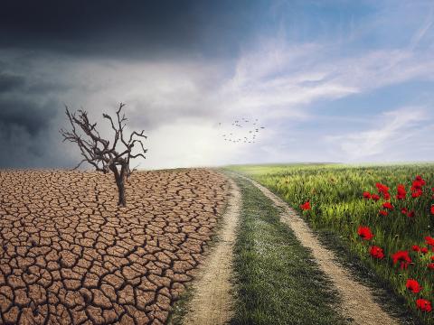 Climate Change